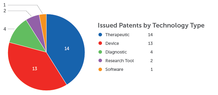 Issued Patents by Technology Type